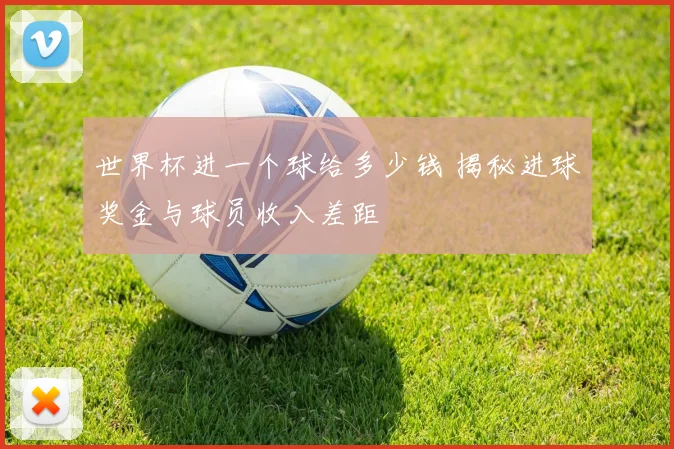 世界杯进一个球给多少钱 揭秘进球奖金与球员收入差距