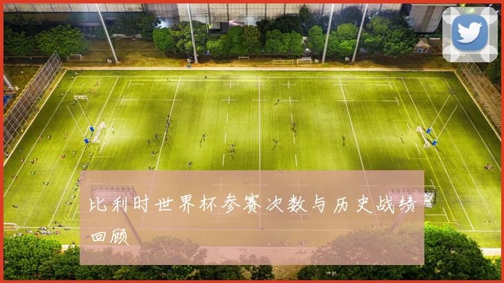 比利时世界杯参赛次数与历史战绩回顾