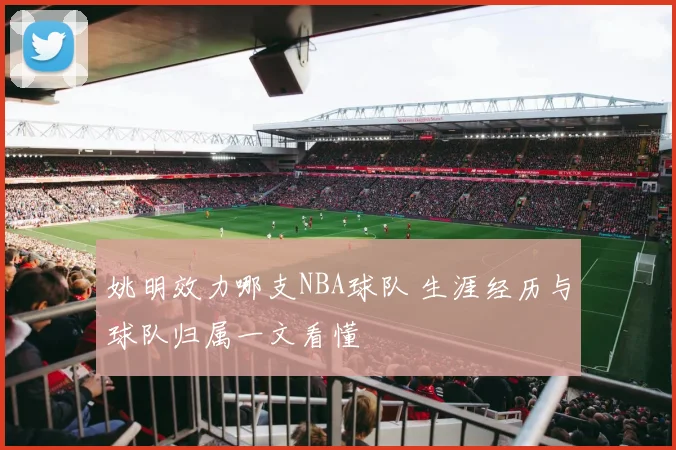 姚明效力哪支NBA球队 生涯经历与球队归属一文看懂