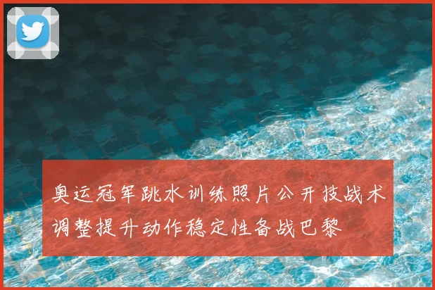 奥运冠军跳水训练照片公开技战术调整提升动作稳定性备战巴黎