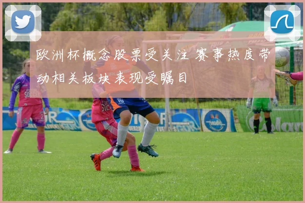 欧洲杯概念股票受关注 赛事热度带动相关板块表现受瞩目