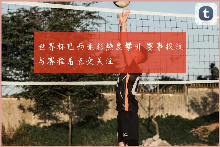 世界杯巴西竞彩热度攀升 赛事投注与赛程看点受关注